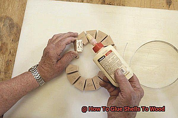 How To Glue Shells To Wood-6