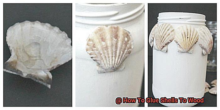 How To Glue Shells To Wood-5