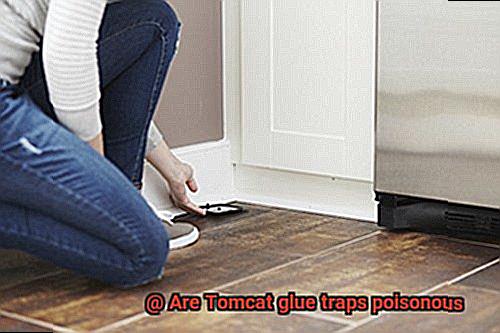 Are Tomcat glue traps poisonous-2