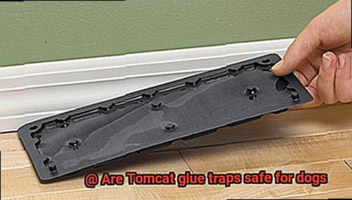 Are Tomcat glue traps safe for dogs-11