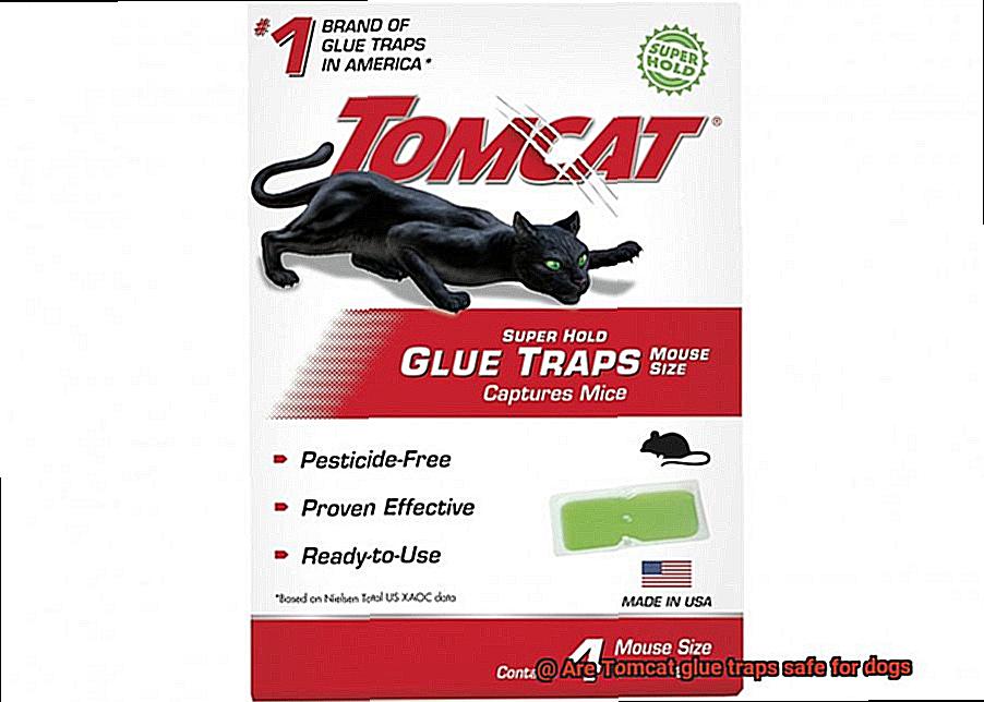 Are Tomcat glue traps safe for dogs-12
