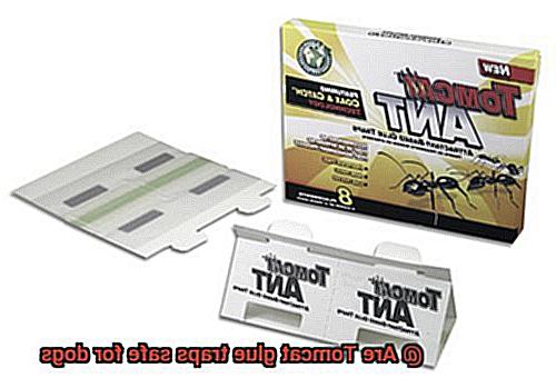 Are Tomcat glue traps safe for dogs-9