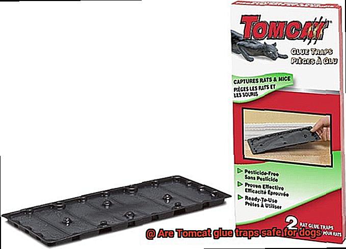 Are Tomcat glue traps safe for dogs-7