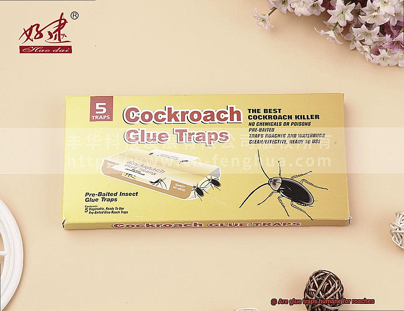 Are glue traps humane for roaches-2
