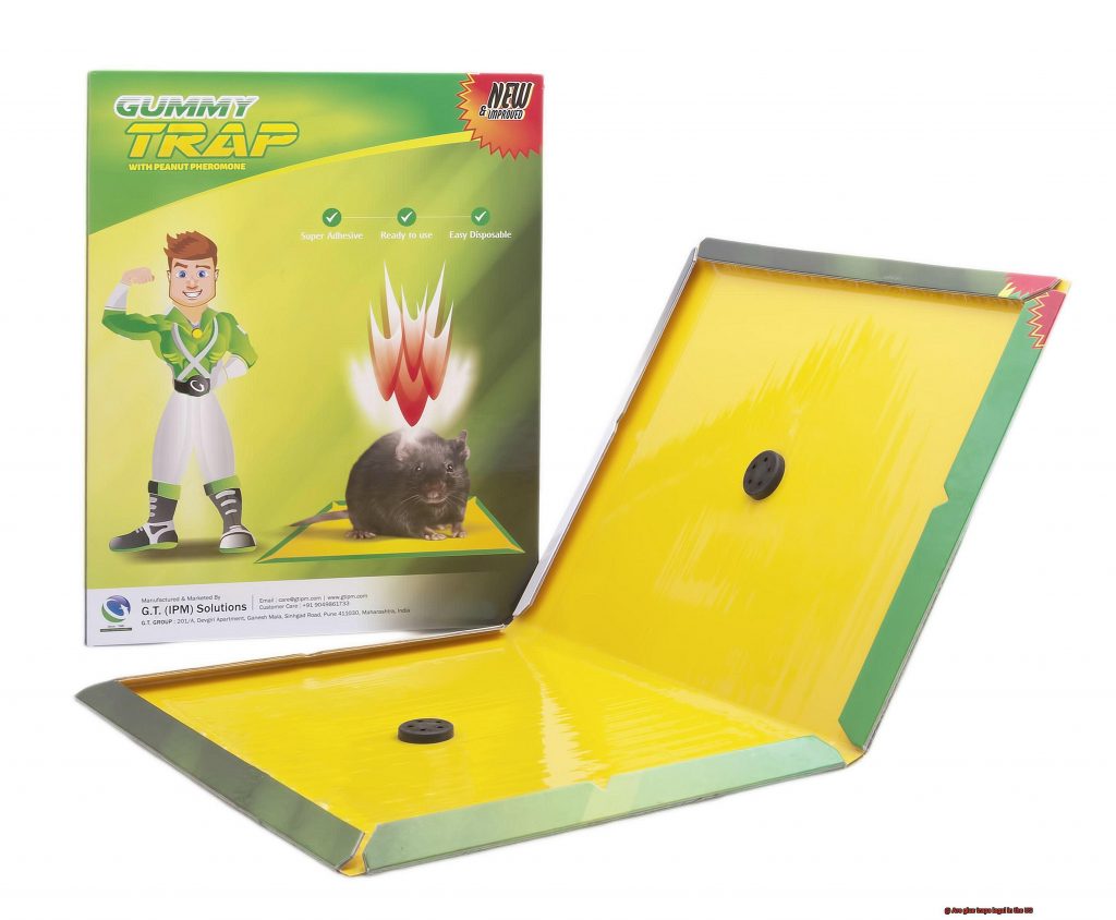 Are glue traps legal in the US? Glue Things