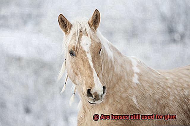 Are horses still used for glue-4