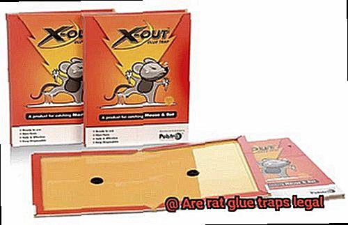 Are rat glue traps legal-2