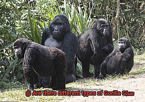 Are there different types of Gorilla Glue-2