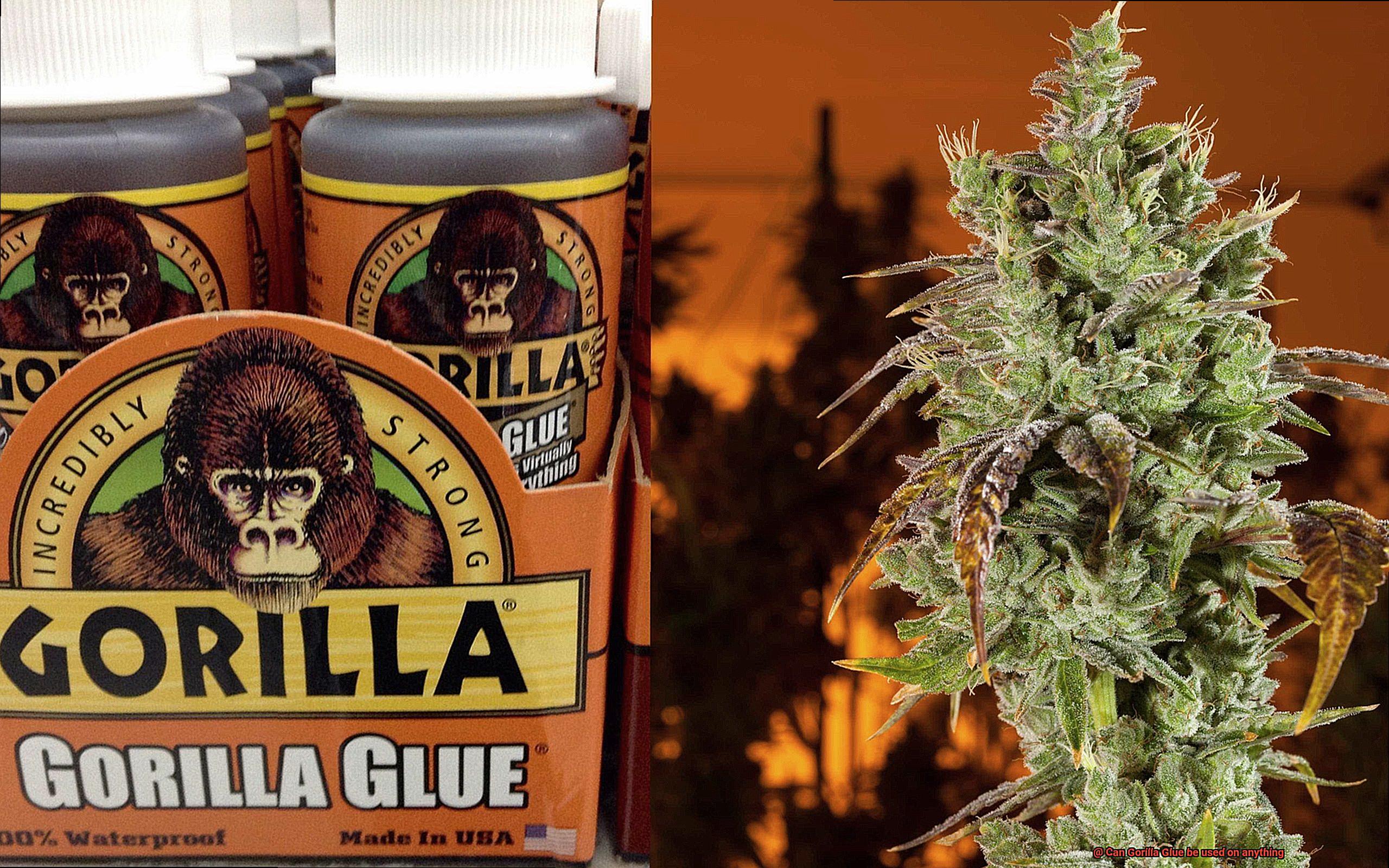 Can Gorilla Glue be used on anything-9