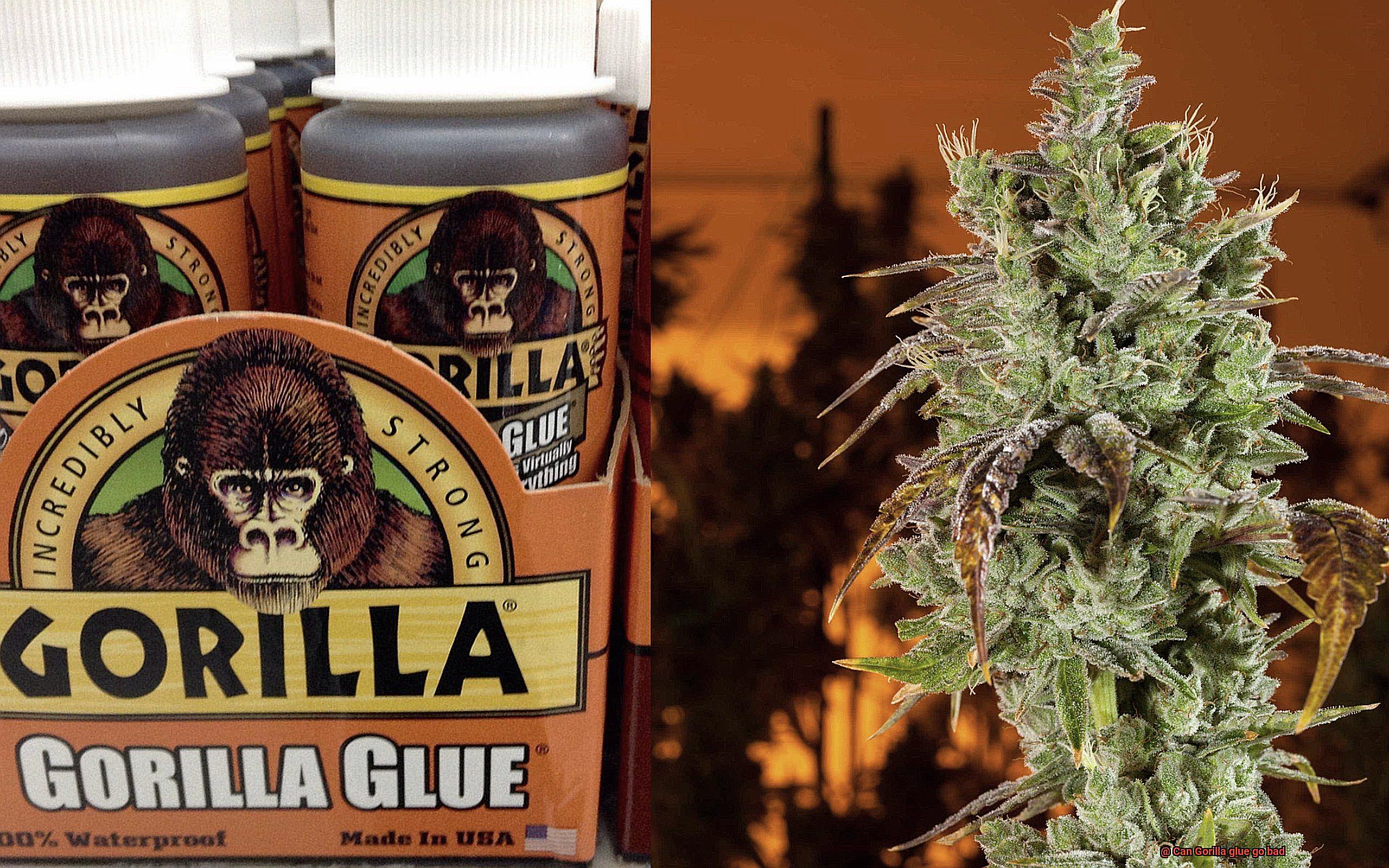 Can Gorilla glue go bad-6