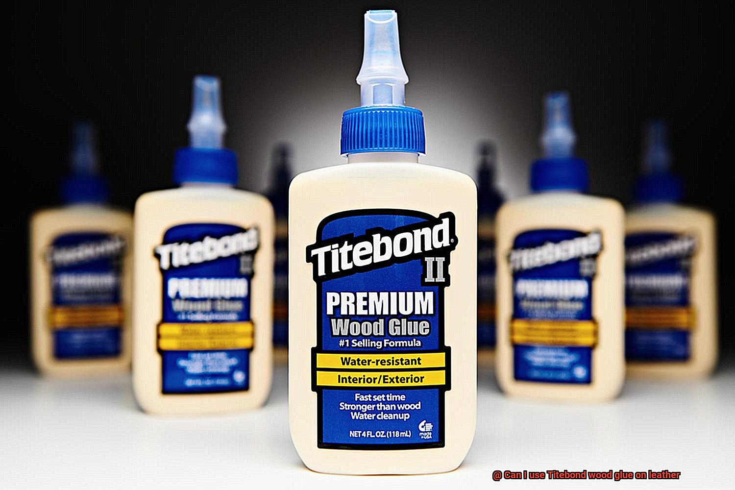 Can I use Titebond wood glue on leather-7