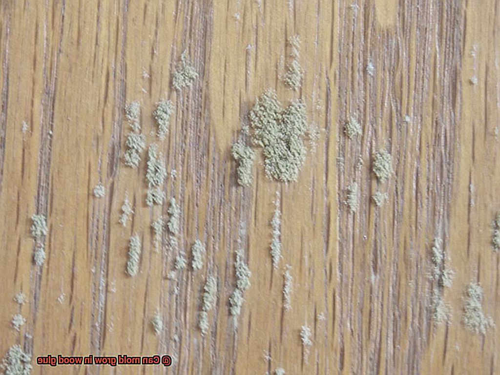 Can mold grow in wood glue-2