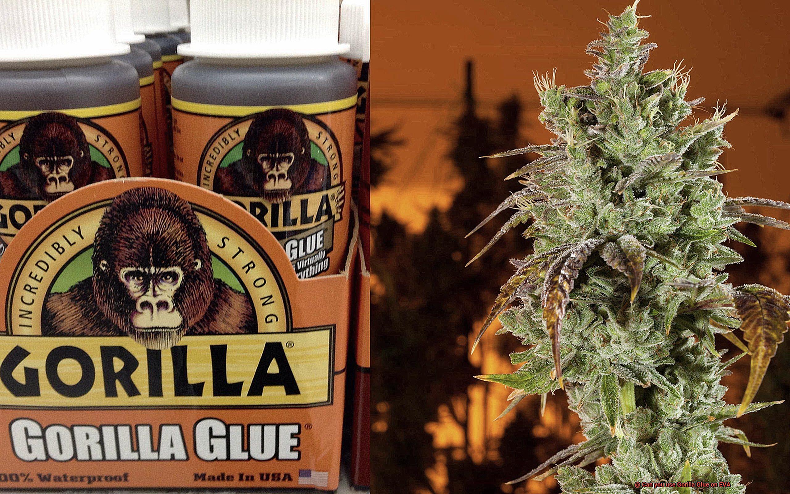 Can you use Gorilla Glue on EVA-5