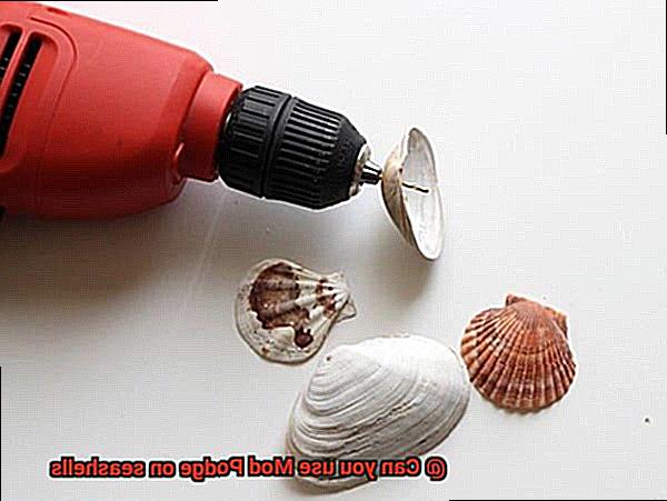 Can you use Mod Podge on seashells-5