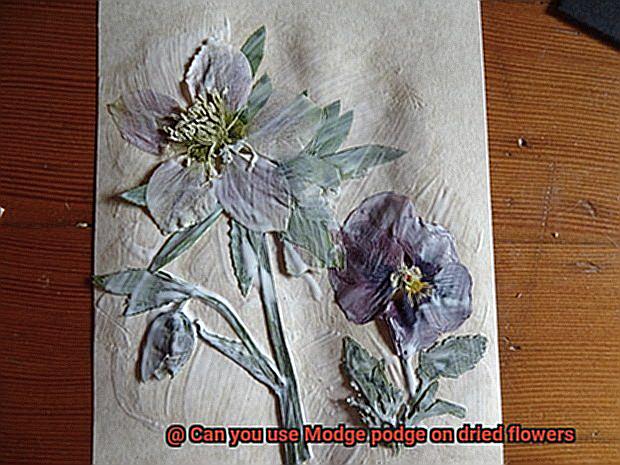 Can you use Modge podge on dried flowers-6