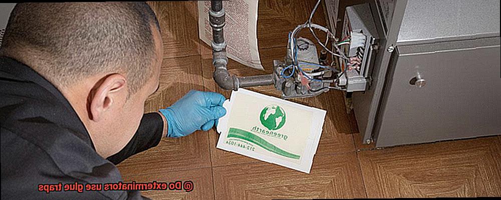 Do exterminators use glue traps-4