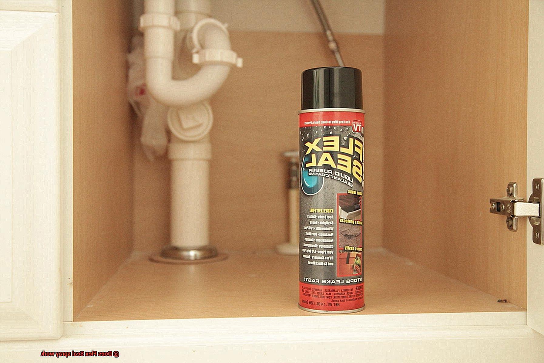 Does Flex Seal spray work-4