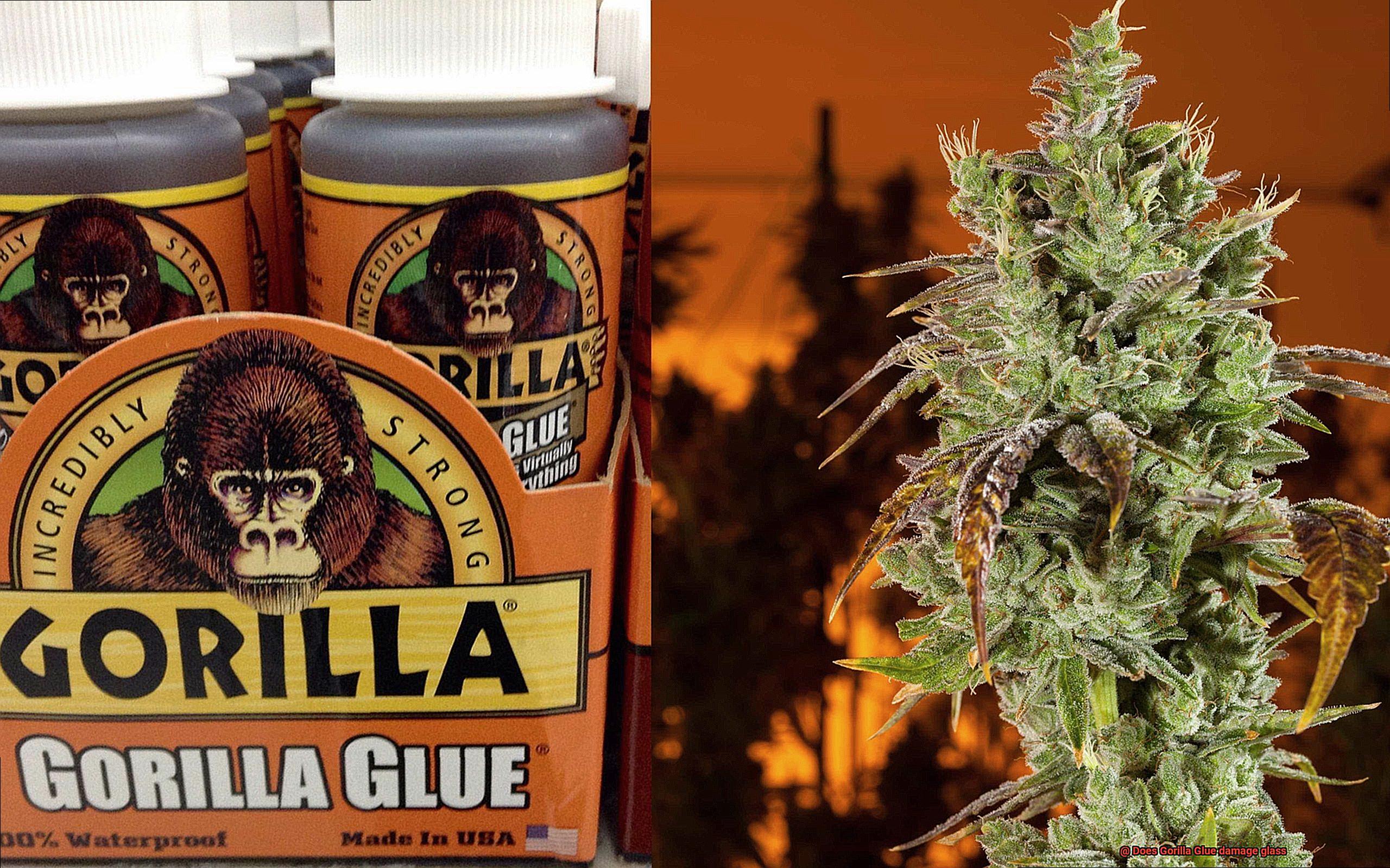 Does Gorilla Glue damage glass-6