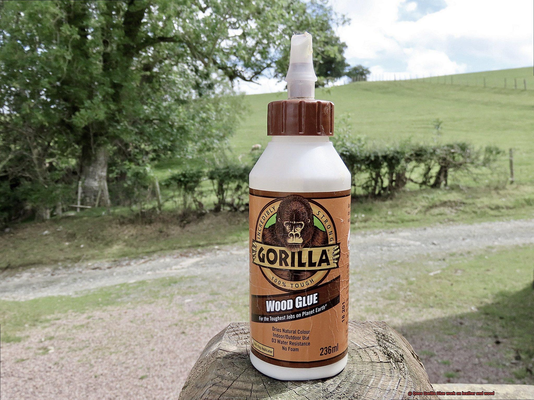 Does Gorilla Glue work on leather and wood? Glue Things