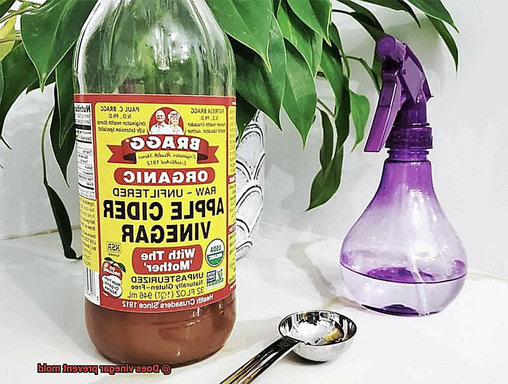 Does vinegar prevent mold-3