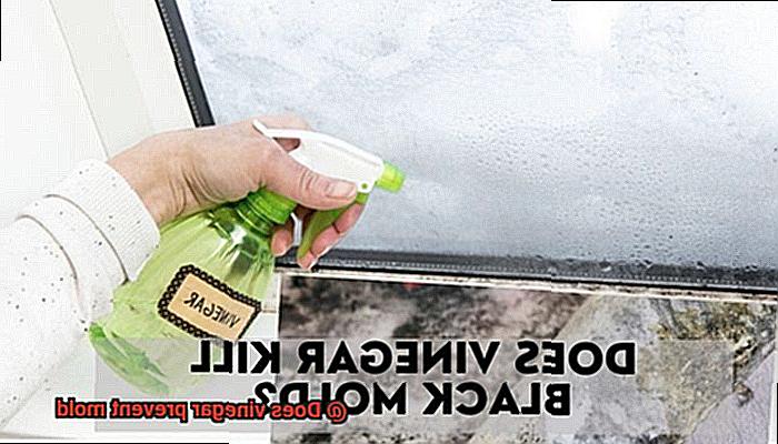 Does vinegar prevent mold-4