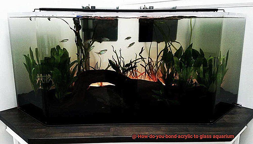 How do you bond acrylic to glass aquarium-3