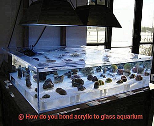 How do you bond acrylic to glass aquarium-5