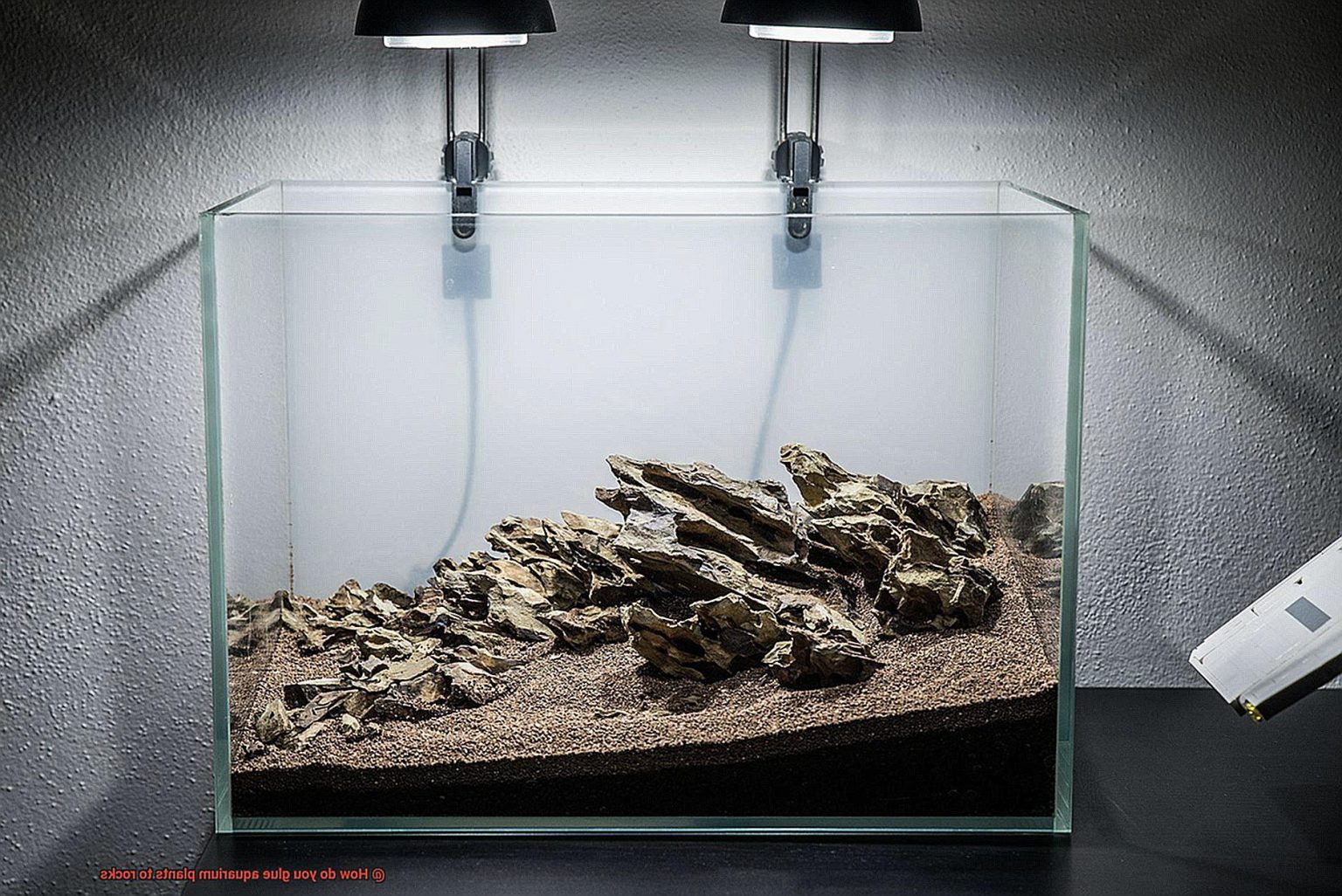 How do you glue aquarium plants to rocks? Glue Things