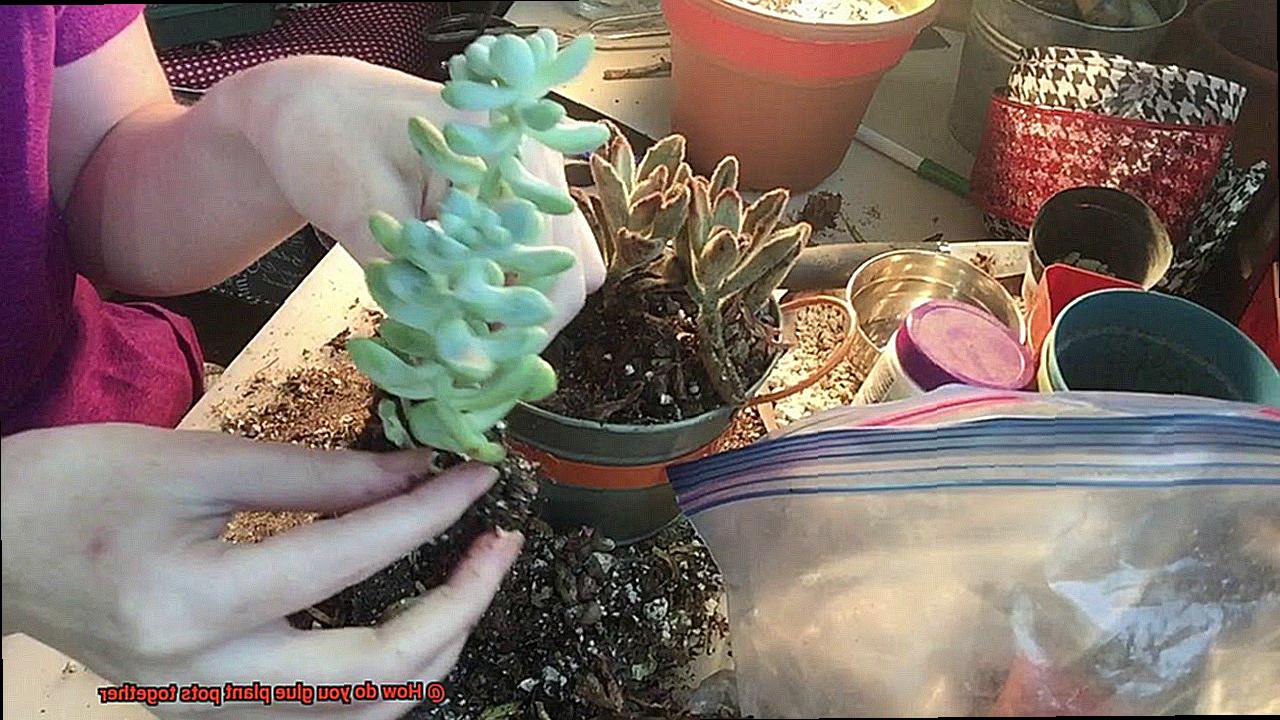 How do you glue plant pots together-4