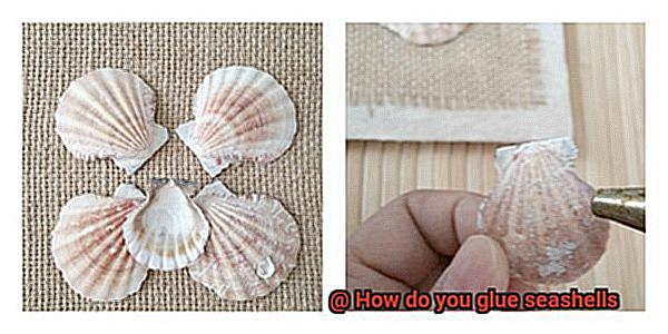 How do you glue seashells-3