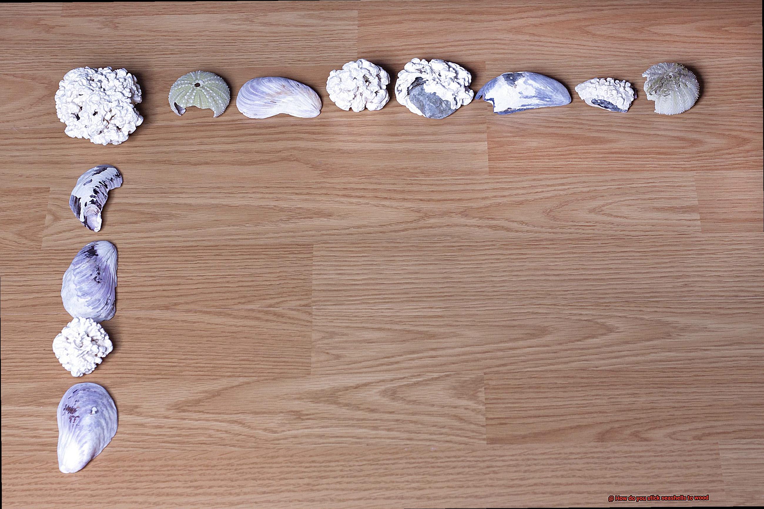 How do you stick seashells to wood-3