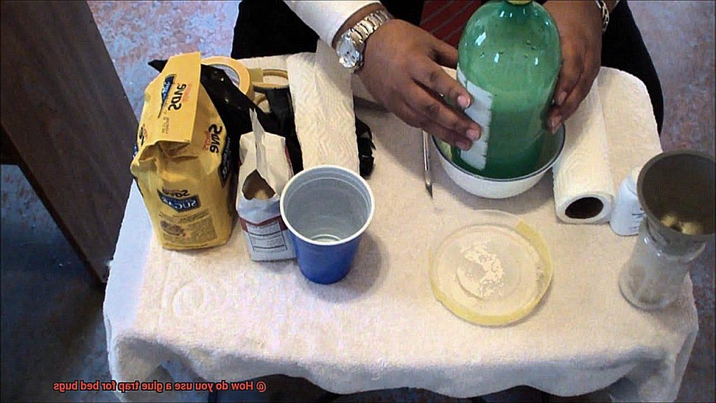 How do you use a glue trap for bed bugs? Glue Things