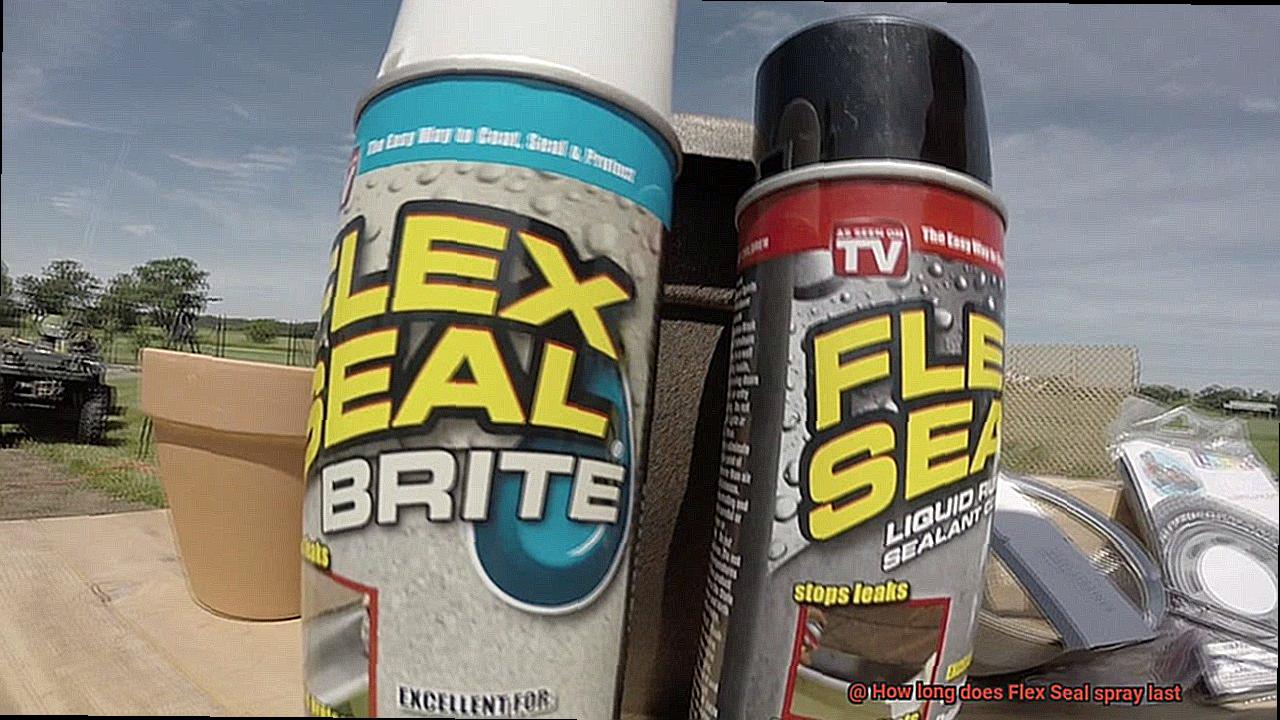 How long does Flex Seal spray last-3