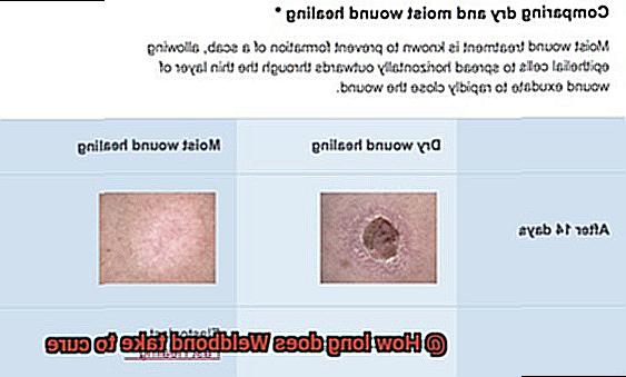 How long does Weldbond take to cure-3