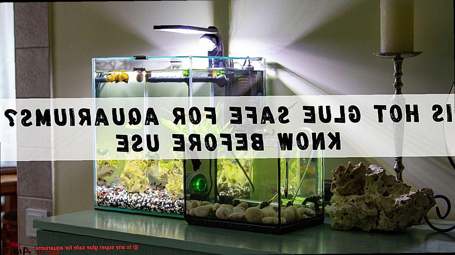Is any super glue safe for aquariums-2