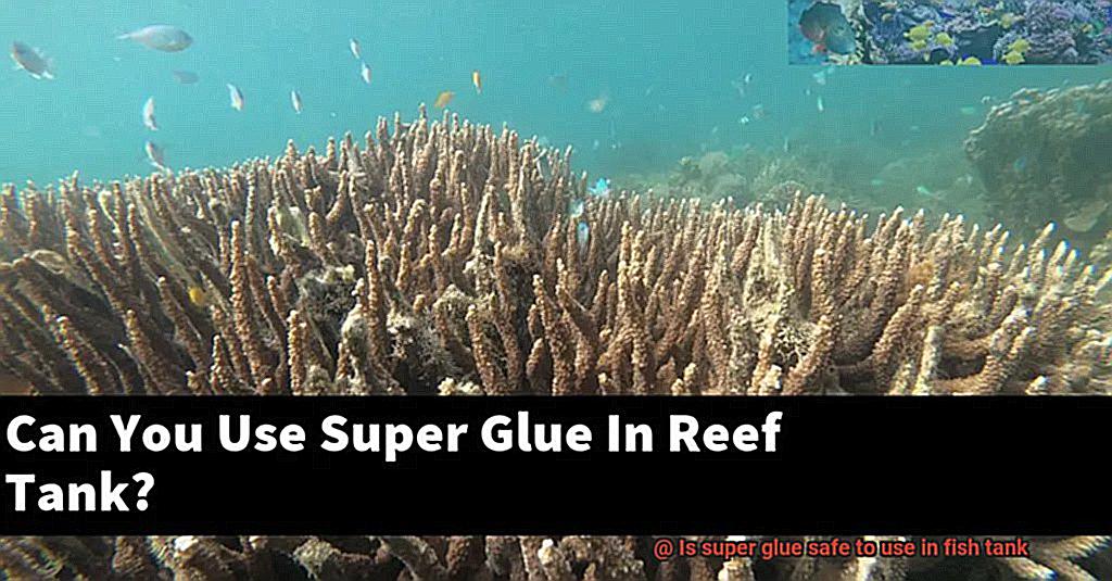 Is super glue safe to use in fish tank-2