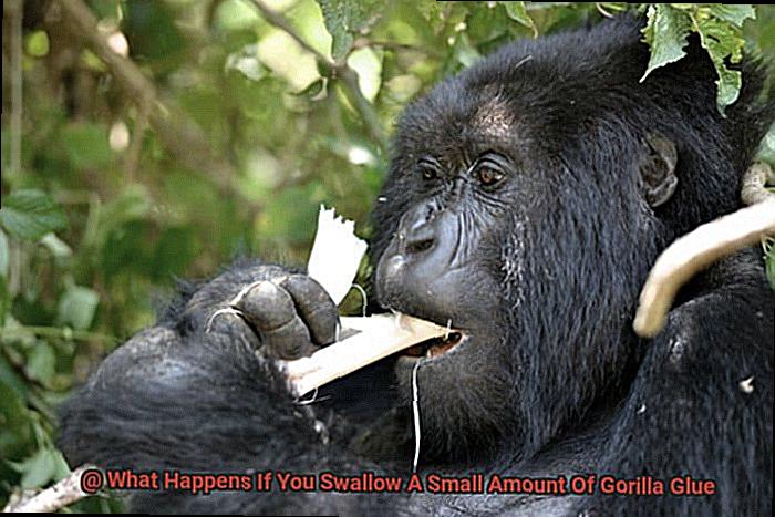 What Happens If You Swallow A Small Amount Of Gorilla Glue-5