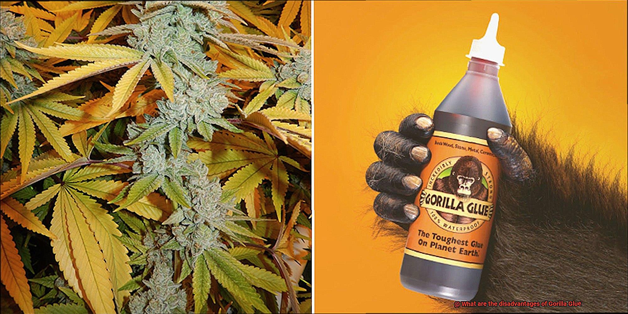 What are the disadvantages of Gorilla Glue? Glue Things