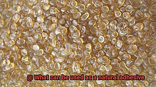 What can be used as a natural adhesive-2