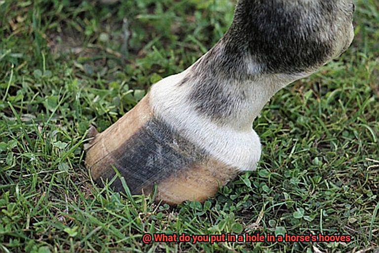 What do you put in a hole in a horse's hooves-3