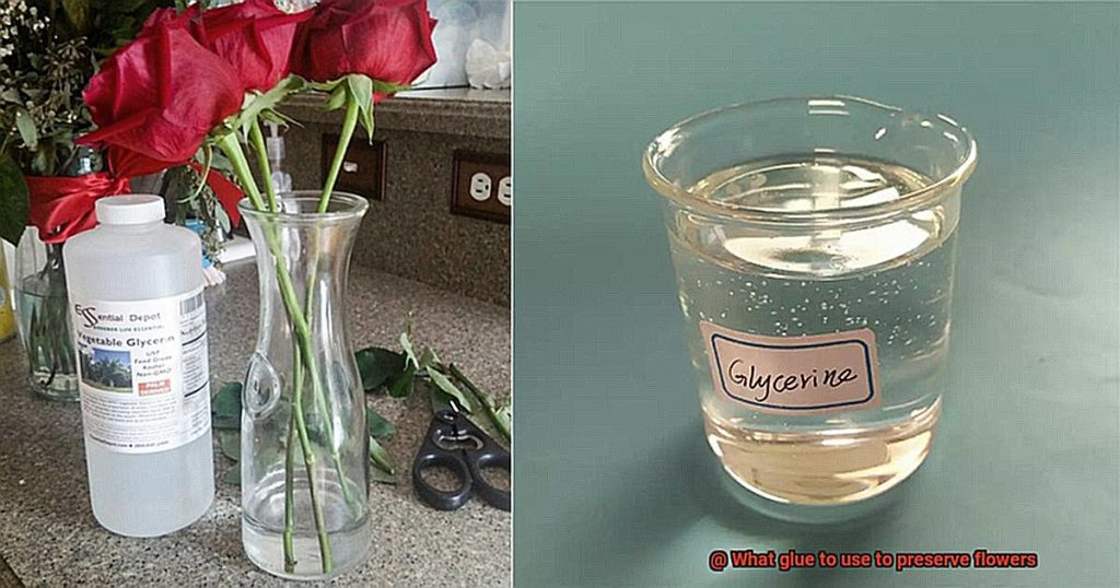 What glue to use to preserve flowers? Glue Things