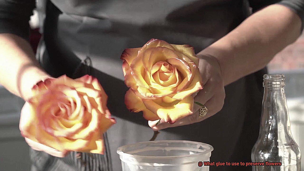 What glue to use to preserve flowers-3