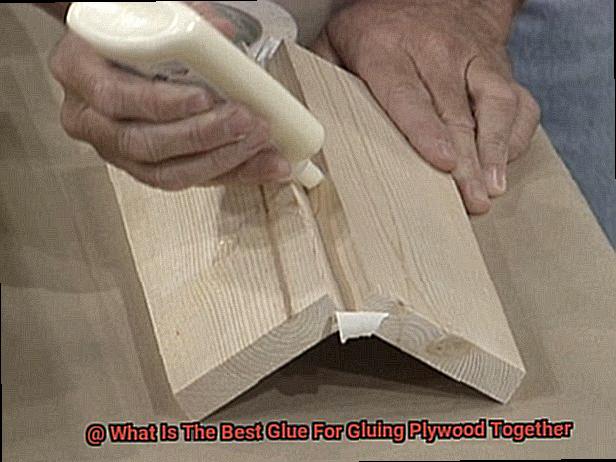 What Is The Best Glue For Gluing Plywood Together-5