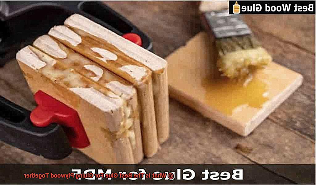 What Is The Best Glue For Gluing Plywood Together-2