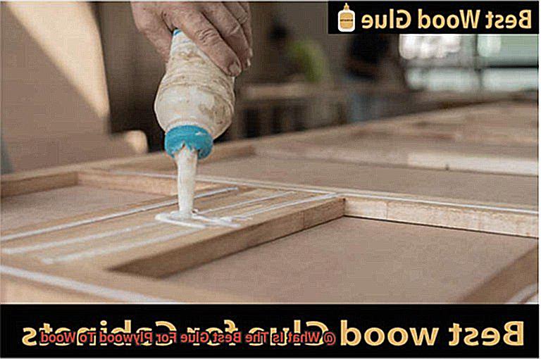 What Is The Best Glue For Plywood To Wood-2