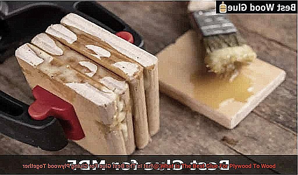 What Is The Best Glue For Plywood To Wood-5