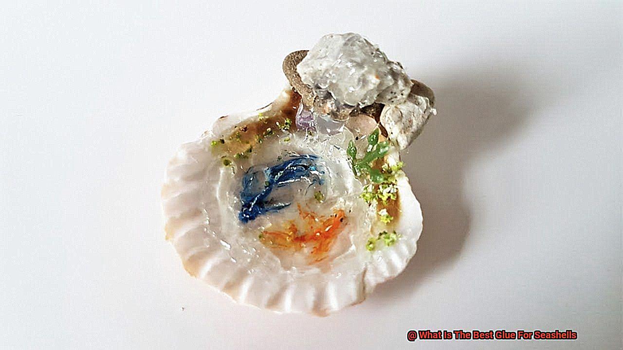 What Is The Best Glue For Seashells-3